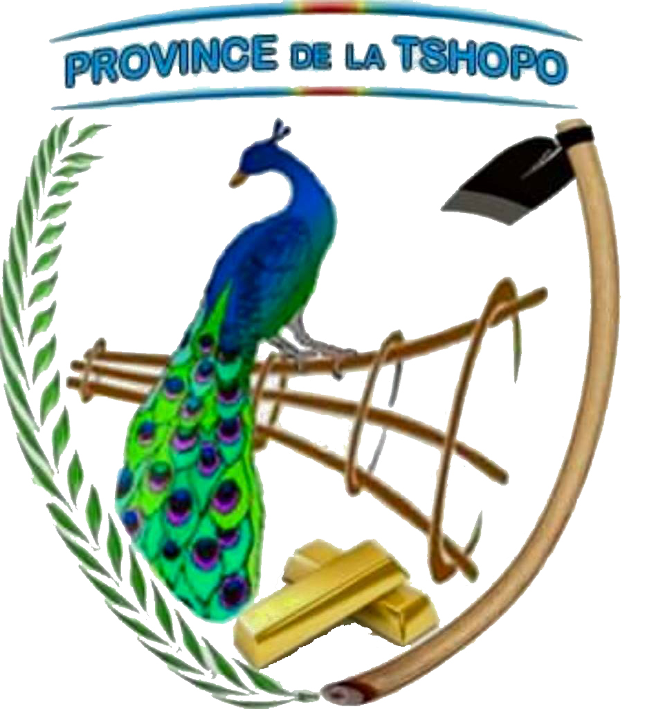 Province Tshopo
